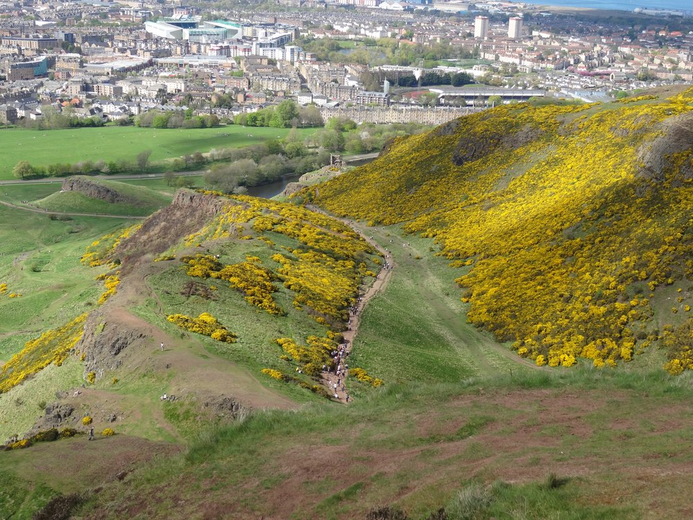 Arthur's Seat, 2018